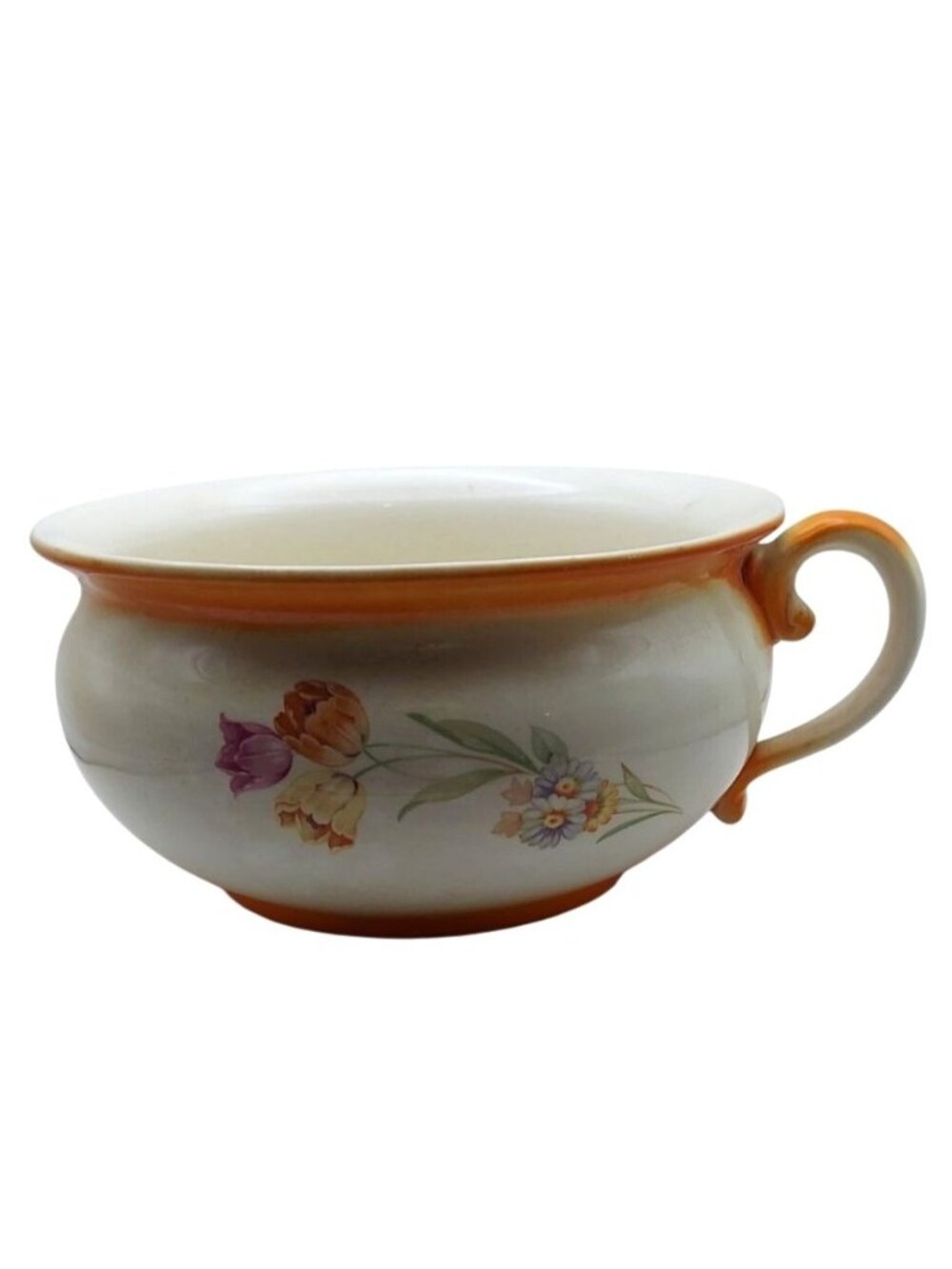 Vintage Coronet Ware Glazed Ceramic Floral Chamber Pot Parrot Co England Planter